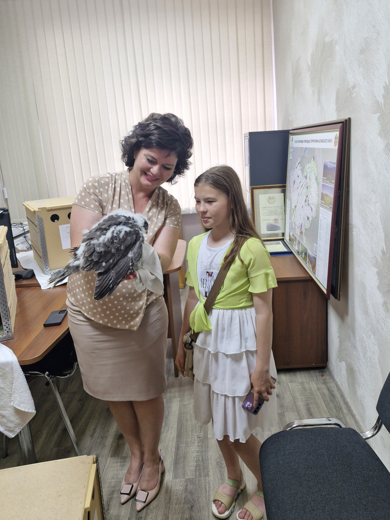 image1 (3).jpeg